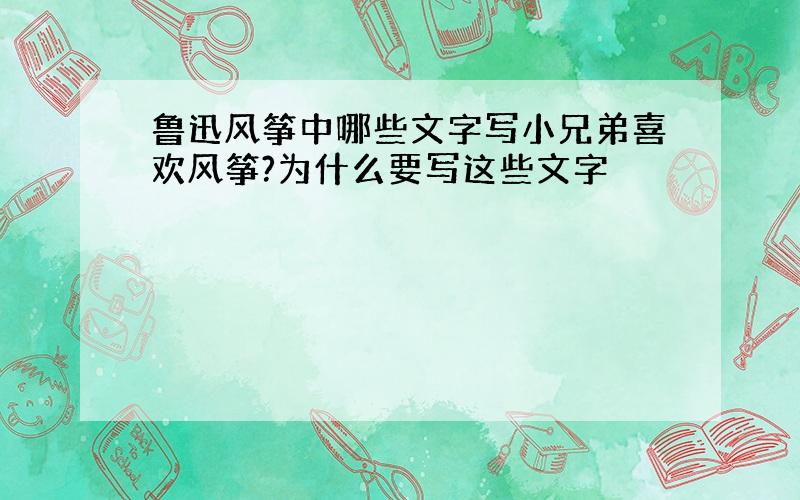 鲁迅风筝中哪些文字写小兄弟喜欢风筝?为什么要写这些文字