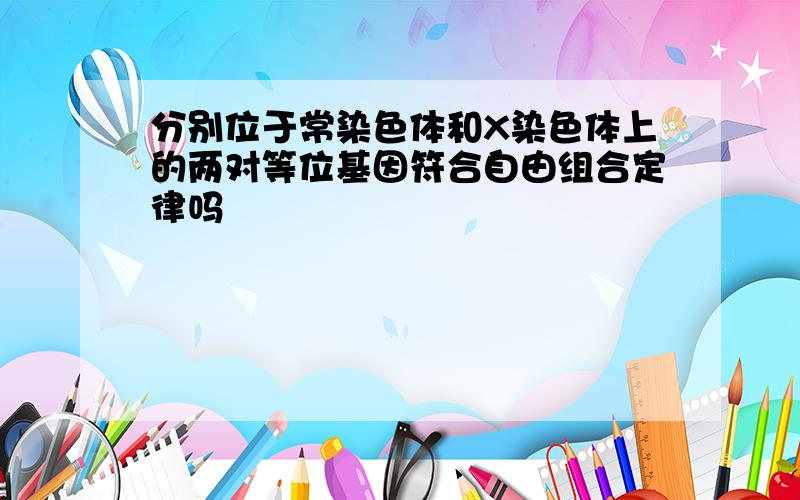 分别位于常染色体和X染色体上的两对等位基因符合自由组合定律吗