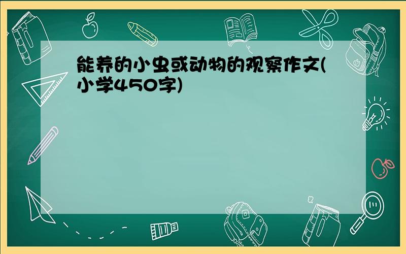 能养的小虫或动物的观察作文(小学450字)