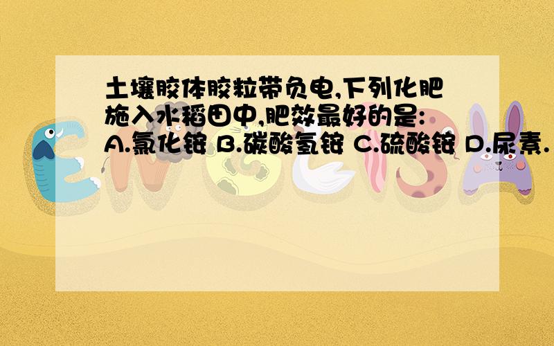 土壤胶体胶粒带负电,下列化肥施入水稻田中,肥效最好的是:A.氯化铵 B.碳酸氢铵 C.硫酸铵 D.尿素.