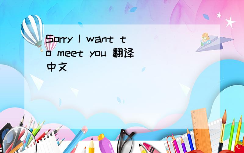 Sorry I want to meet you 翻译 中文