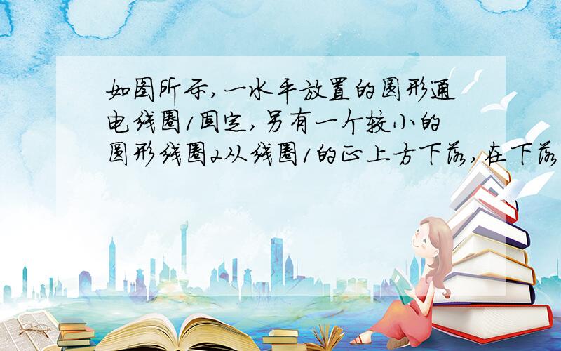 如图所示,一水平放置的圆形通电线圈1固定,另有一个较小的圆形线圈2从线圈1的正上方下落,在下落过程中两线圈平面始终保持平