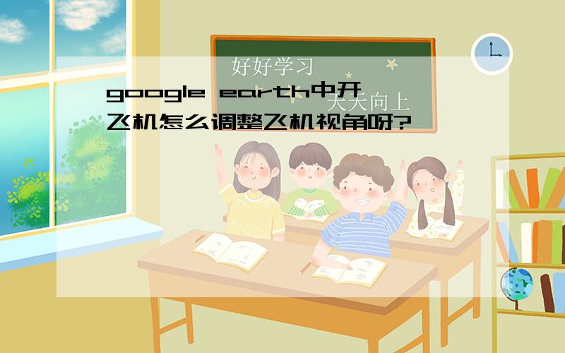 google earth中开飞机怎么调整飞机视角呀?