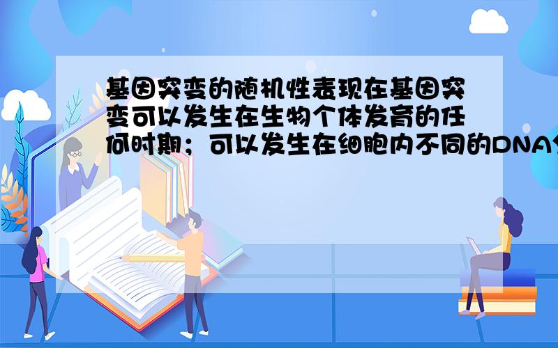 基因突变的随机性表现在基因突变可以发生在生物个体发育的任何时期；可以发生在细胞内不同的DNA分子上；同