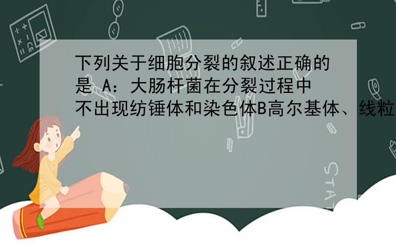 下列关于细胞分裂的叙述正确的是 A：大肠杆菌在分裂过程中不出现纺锤体和染色体B高尔基体、线粒体、叶绿体