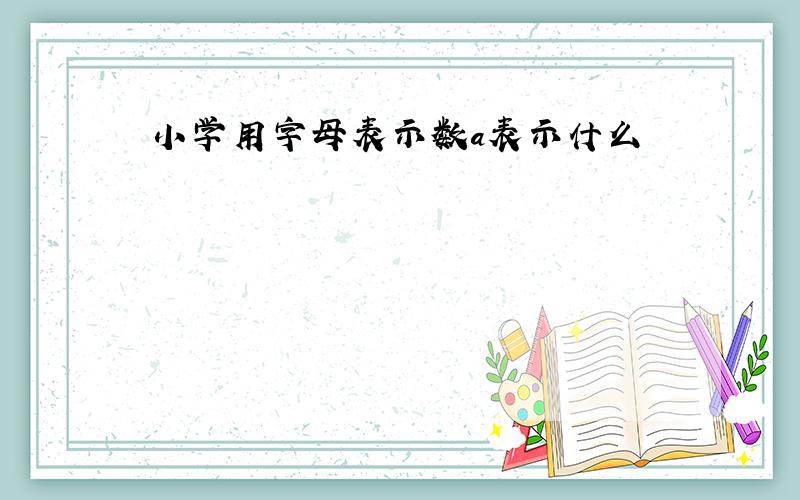 小学用字母表示数a表示什么