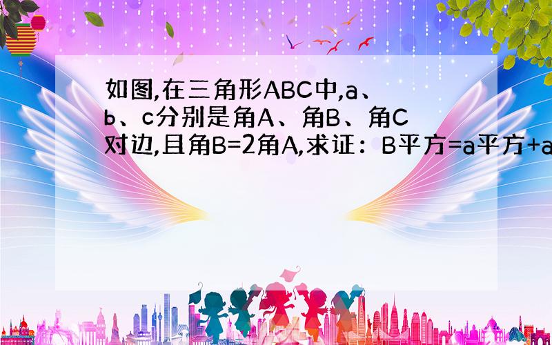 如图,在三角形ABC中,a、b、c分别是角A、角B、角C对边,且角B=2角A,求证：B平方=a平方+ac