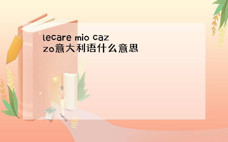 lecare mio cazzo意大利语什么意思