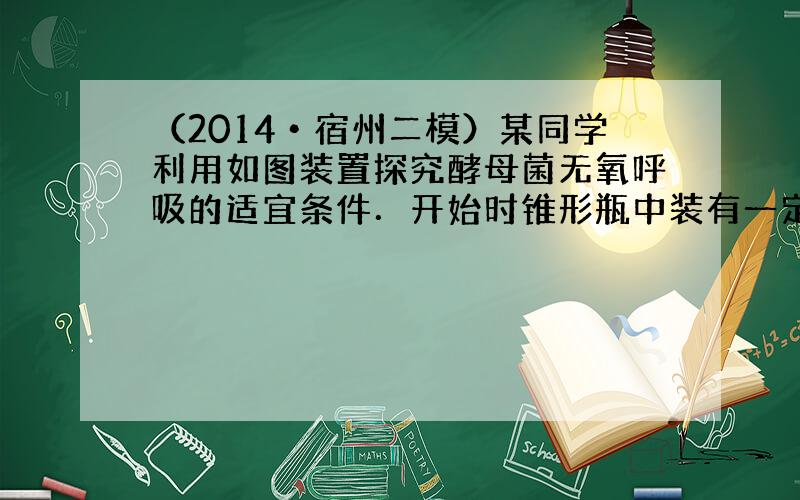 （2014•宿州二模）某同学利用如图装置探究酵母菌无氧呼吸的适宜条件．开始时锥形瓶中装有一定量质量分数为2%的经灭菌处理