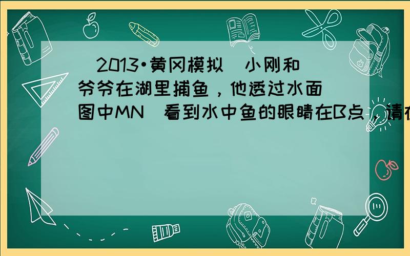 （2013•黄冈模拟）小刚和爷爷在湖里捕鱼，他透过水面（图中MN）看到水中鱼的眼睛在B点，请在图中作出小刚看见鱼眼睛的光