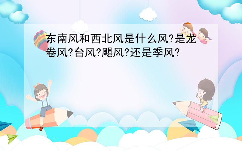 东南风和西北风是什么风?是龙卷风?台风?飓风?还是季风?