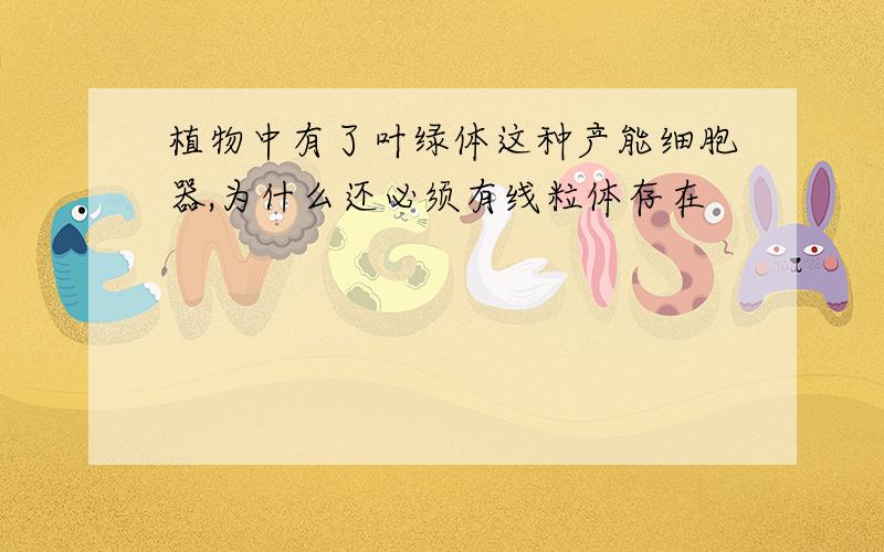 植物中有了叶绿体这种产能细胞器,为什么还必须有线粒体存在