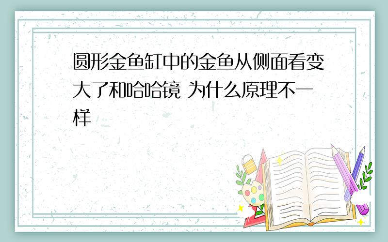 圆形金鱼缸中的金鱼从侧面看变大了和哈哈镜 为什么原理不一样