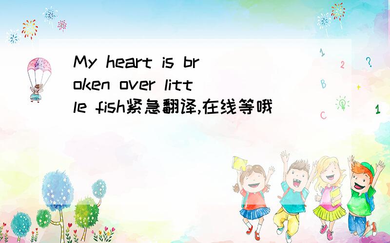 My heart is broken over little fish紧急翻译,在线等哦