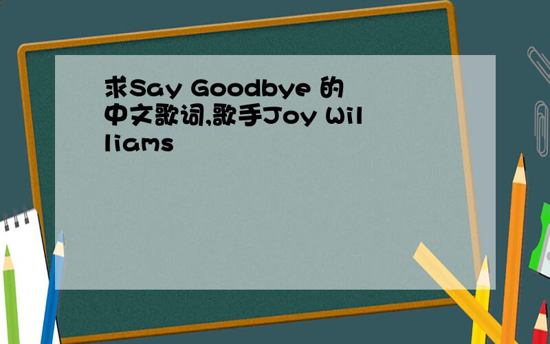 求Say Goodbye 的中文歌词,歌手Joy Williams