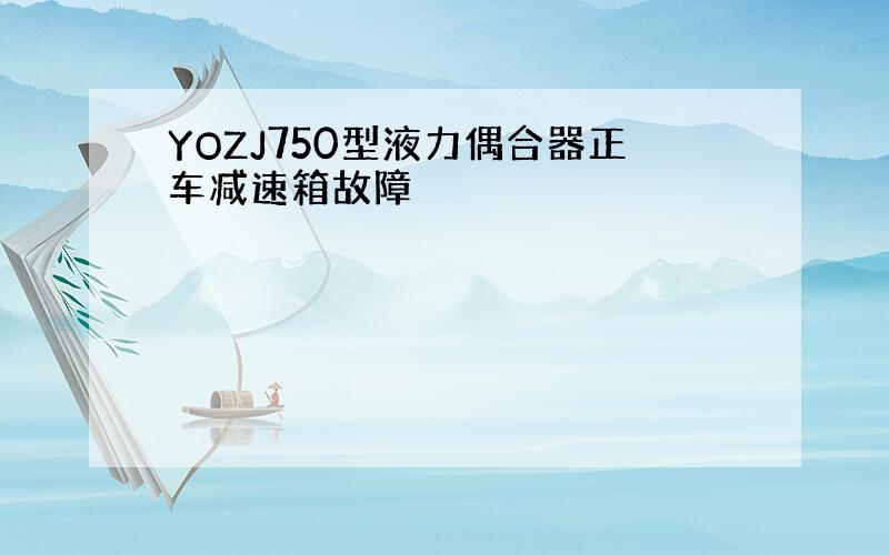 YOZJ750型液力偶合器正车减速箱故障