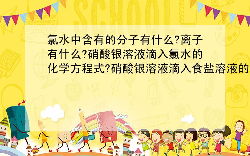 氯水中含有的分子有什么?离子有什么?硝酸银溶液滴入氯水的化学方程式?硝酸银溶液滴入食盐溶液的化学方程式?硝酸银溶液滴入溴