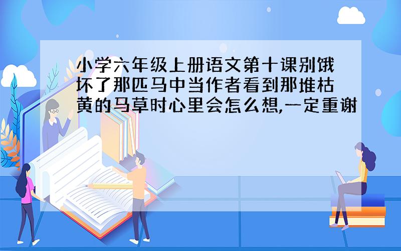 小学六年级上册语文第十课别饿坏了那匹马中当作者看到那堆枯黄的马草时心里会怎么想,一定重谢