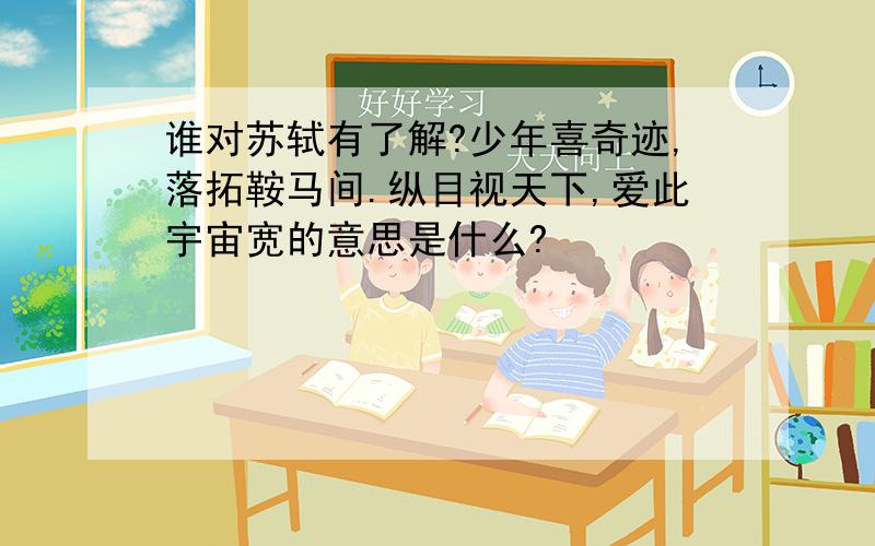 谁对苏轼有了解?少年喜奇迹,落拓鞍马间.纵目视天下,爱此宇宙宽的意思是什么?