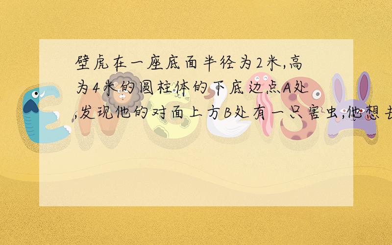 壁虎在一座底面半径为2米,高为4米的圆柱体的下底边点A处,发现他的对面上方B处有一只害虫,他想去捕捉害虫,为了不引起害虫