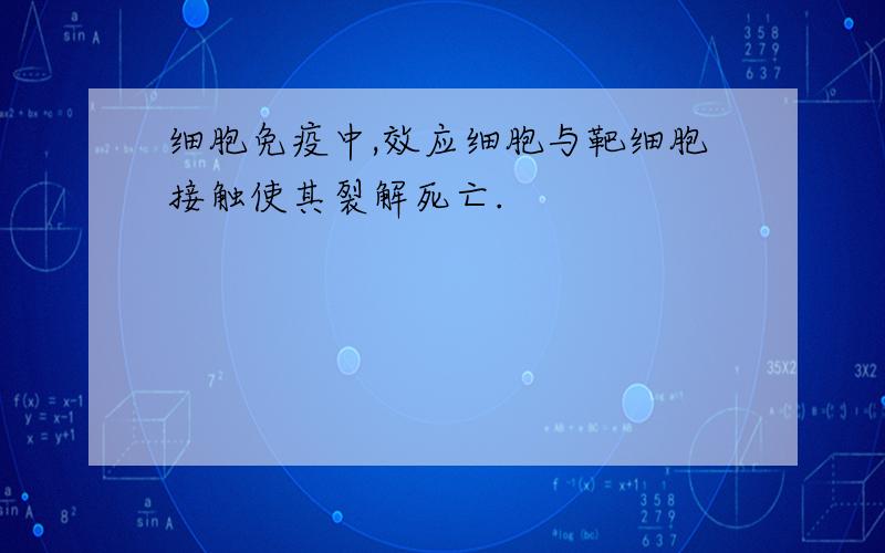 细胞免疫中,效应细胞与靶细胞接触使其裂解死亡.