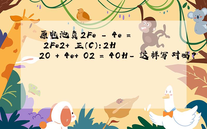 原电池负2Fe - 4e = 2Fe2+ 正（C）：2H2O + 4e+ O2 = 4OH- 这样写对吗?