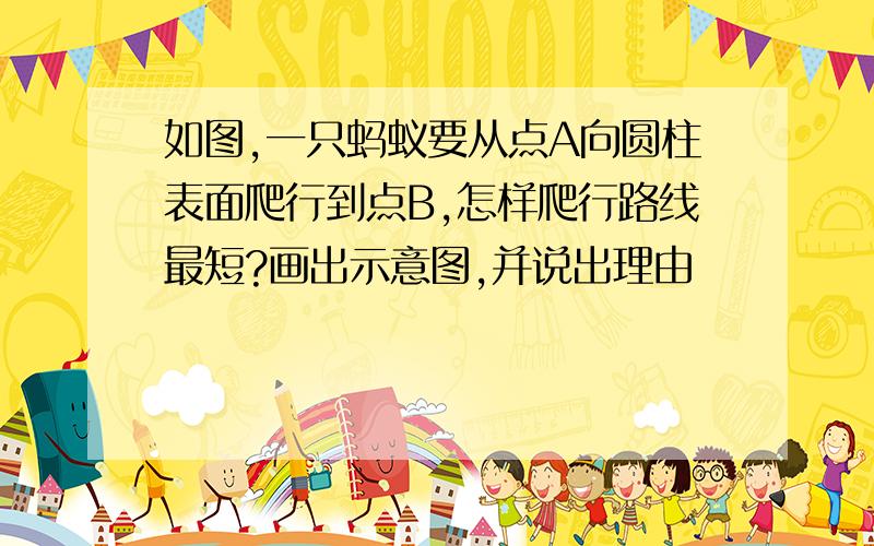 如图,一只蚂蚁要从点A向圆柱表面爬行到点B,怎样爬行路线最短?画出示意图,并说出理由