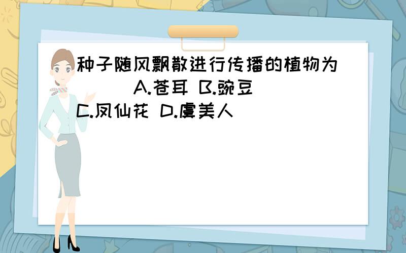 种子随风飘散进行传播的植物为（ ） A.苍耳 B.豌豆 C.凤仙花 D.虞美人