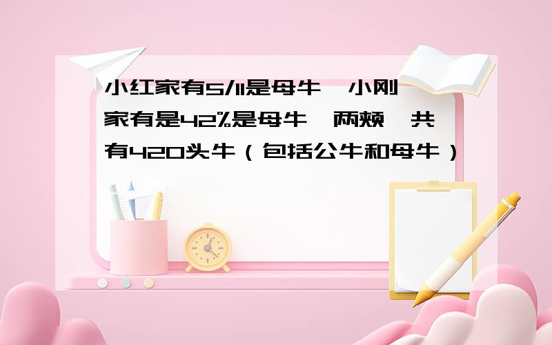 小红家有5/11是母牛,小刚家有是42%是母牛,两颊一共有420头牛（包括公牛和母牛）