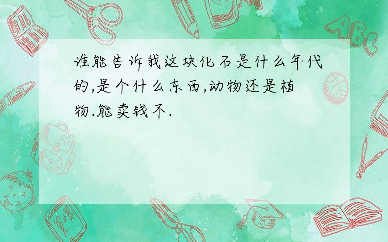 谁能告诉我这块化石是什么年代的,是个什么东西,动物还是植物.能卖钱不.