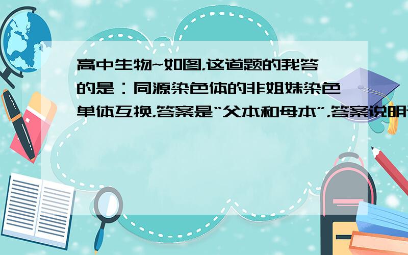 高中生物~如图，这道题的我答的是：同源染色体的非姐妹染色单体互换，答案是“父本和母本”，答案说明说错答为我这个答案的人很