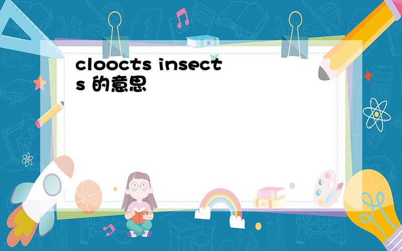 cloocts insects 的意思