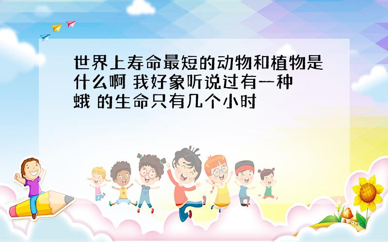 世界上寿命最短的动物和植物是什么啊 我好象听说过有一种 蛾 的生命只有几个小时