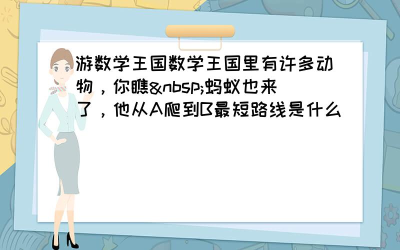 游数学王国数学王国里有许多动物，你瞧 蚂蚁也来了，他从A爬到B最短路线是什么