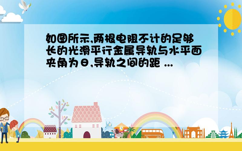 如图所示,两根电阻不计的足够长的光滑平行金属导轨与水平面夹角为θ,导轨之间的距 ...