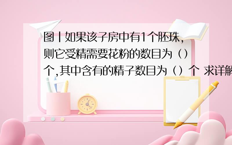 图|如果该子房中有1个胚珠,则它受精需要花粉的数目为（）个,其中含有的精子数目为（）个 求详解