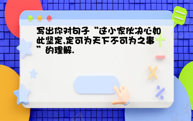 写出你对句子“这小家伙决心如此坚定,定可为天下不可为之事”的理解.