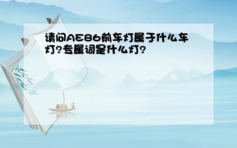 请问AE86前车灯属于什么车灯?专属词是什么灯?