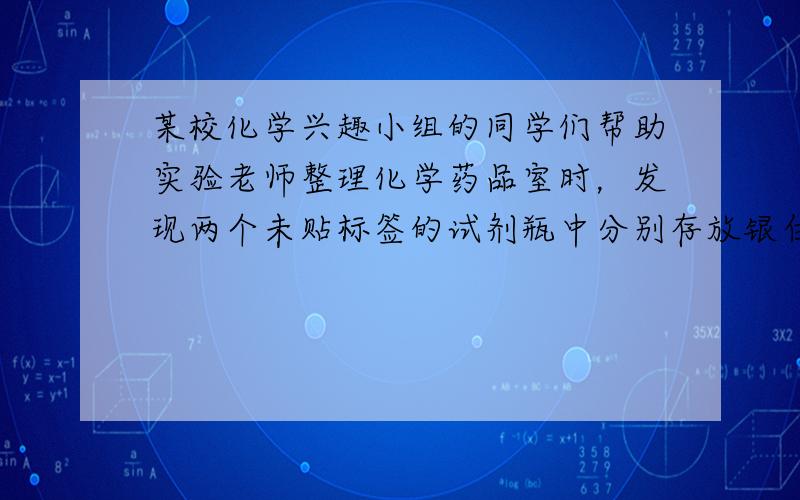 某校化学兴趣小组的同学们帮助实验老师整理化学药品室时，发现两个未贴标签的试剂瓶中分别存放银白色金属片．到底它们是哪两种金