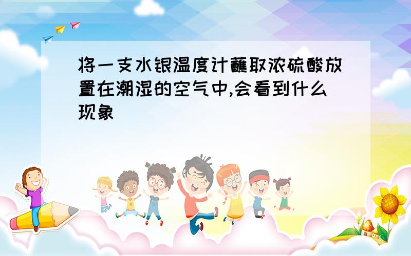 将一支水银温度计蘸取浓硫酸放置在潮湿的空气中,会看到什么现象