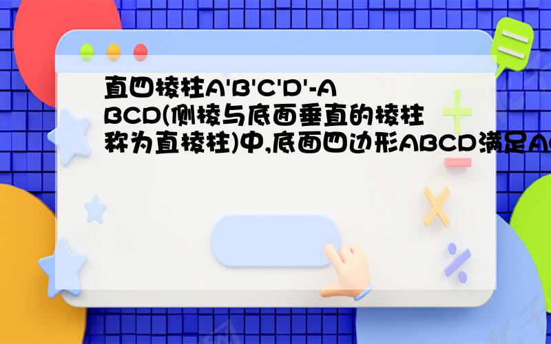 直四棱柱A'B'C'D'-ABCD(侧棱与底面垂直的棱柱称为直棱柱)中,底面四边形ABCD满足AC⊥BD时,A'C⊥B'