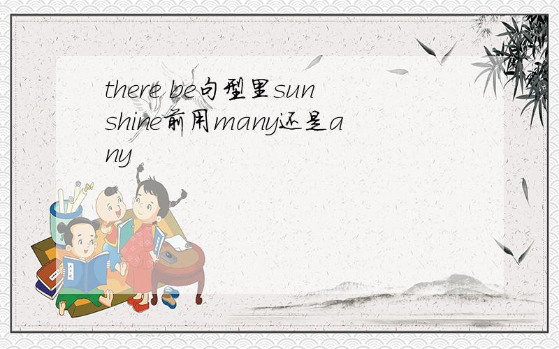 there be句型里sunshine前用many还是any