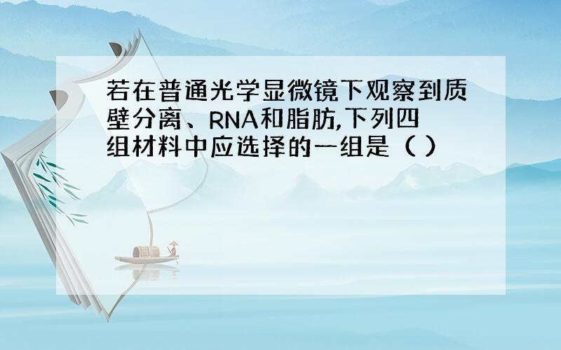 若在普通光学显微镜下观察到质壁分离、RNA和脂肪,下列四组材料中应选择的一组是（ ）