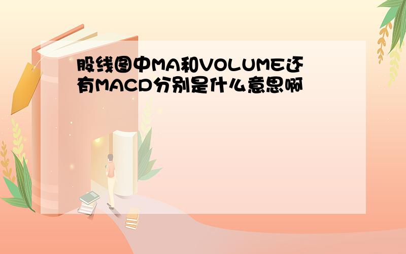 股线图中MA和VOLUME还有MACD分别是什么意思啊