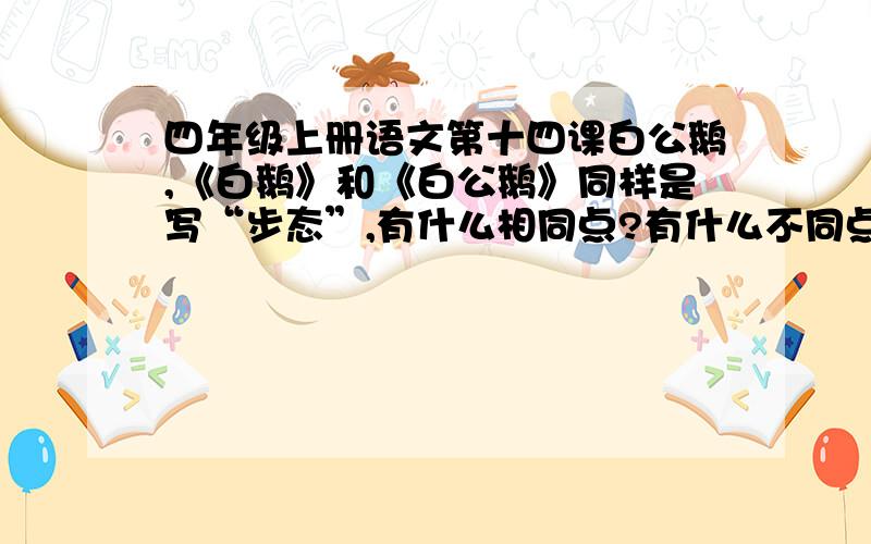 四年级上册语文第十四课白公鹅,《白鹅》和《白公鹅》同样是写“步态”,有什么相同点?有什么不同点?