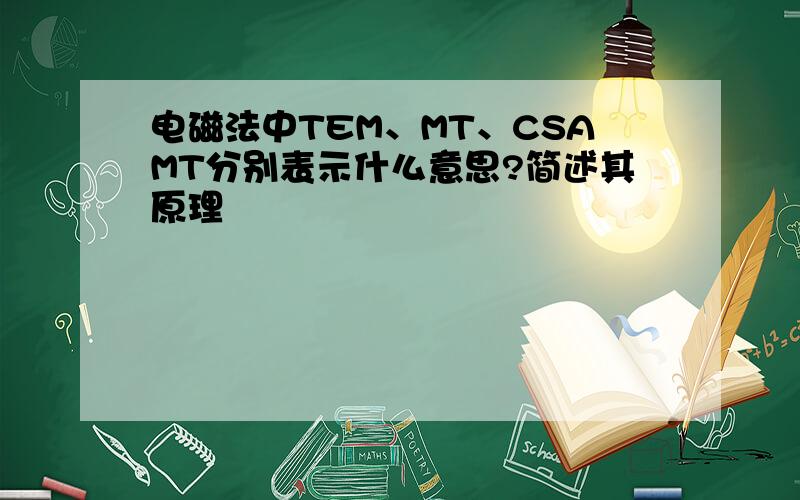 电磁法中TEM、MT、CSAMT分别表示什么意思?简述其原理