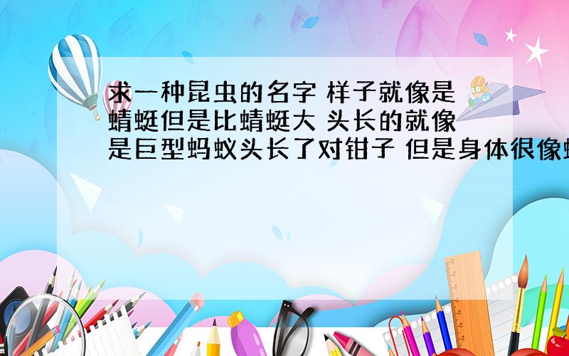 求一种昆虫的名字 样子就像是蜻蜓但是比蜻蜓大 头长的就像是巨型蚂蚁头长了对钳子 但是身体很像蜻蜓 手掌