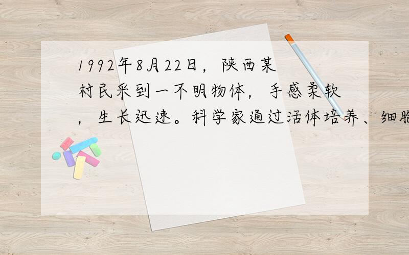 1992年8月22日，陕西某村民采到一不明物体，手感柔软，生长迅速。科学家通过活体培养、细胞观察等研究后认为，它是我国首