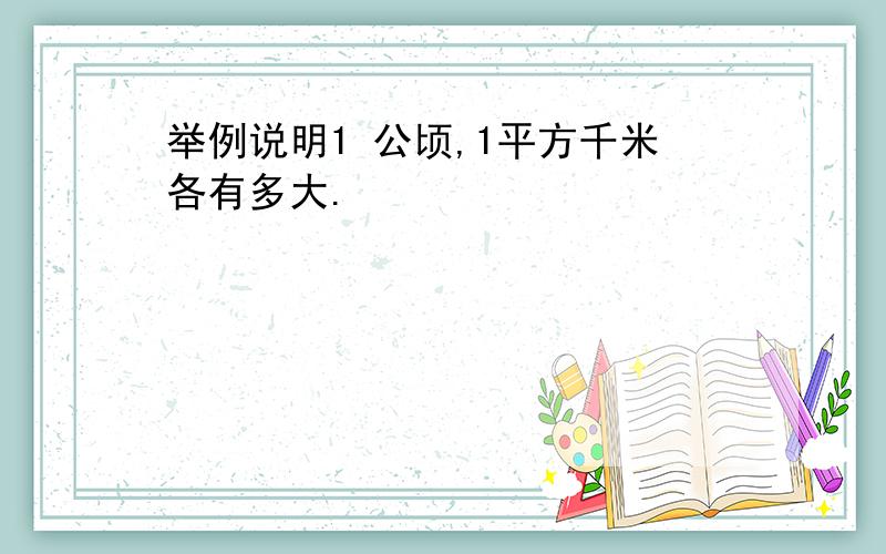 举例说明1 公顷,1平方千米各有多大.