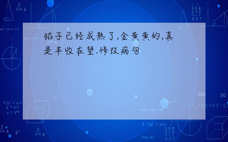 稻子已经成熟了,金黄黄的,真是丰收在望.修改病句